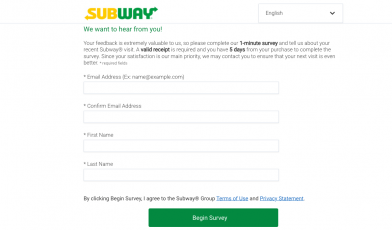 subway survey